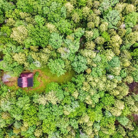 Lost Pond Cabin Schroon Lake Екстер'єр фото