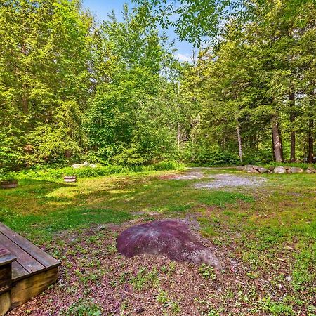 Lost Pond Cabin Schroon Lake Екстер'єр фото