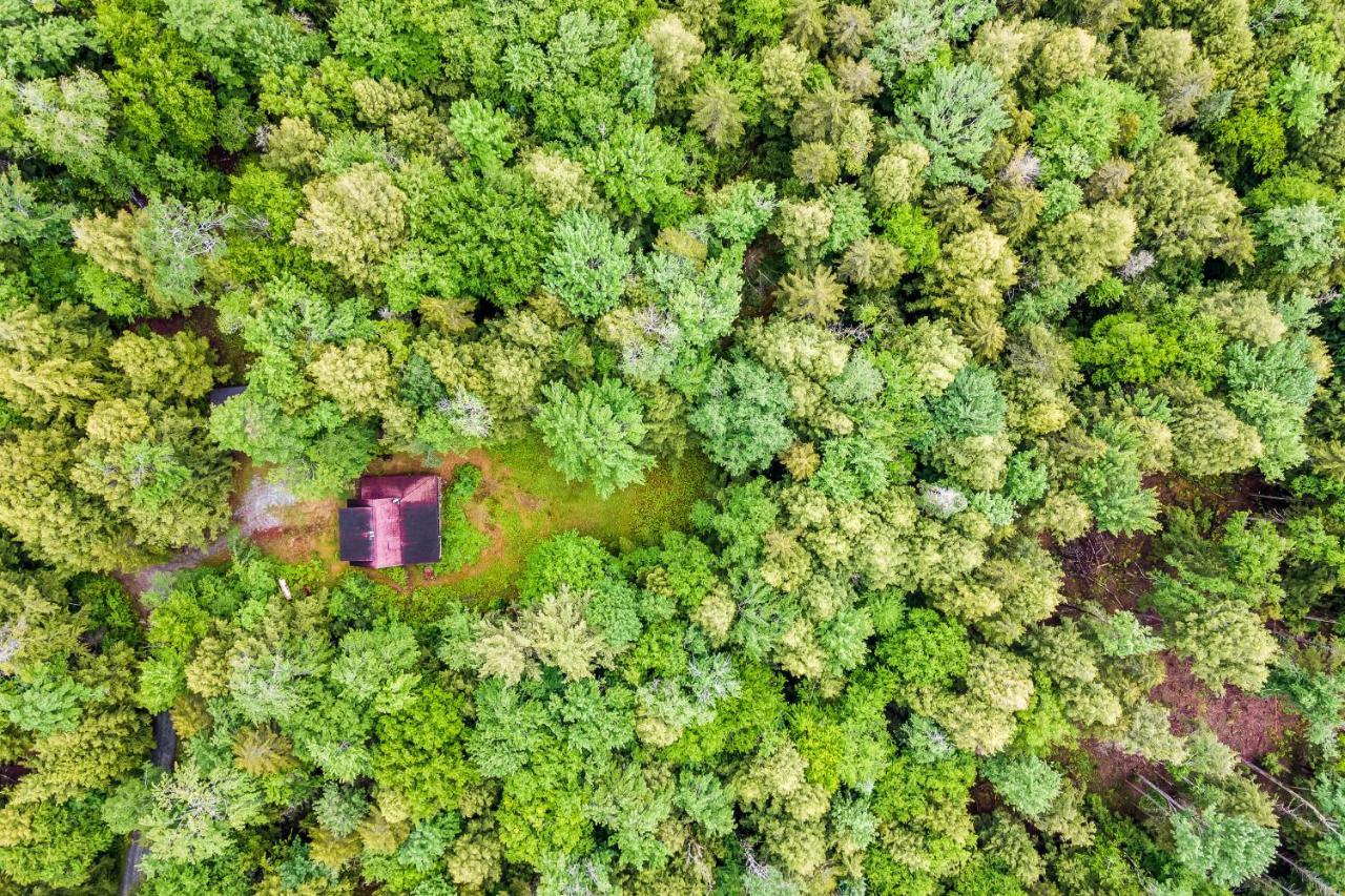 Lost Pond Cabin Schroon Lake Екстер'єр фото